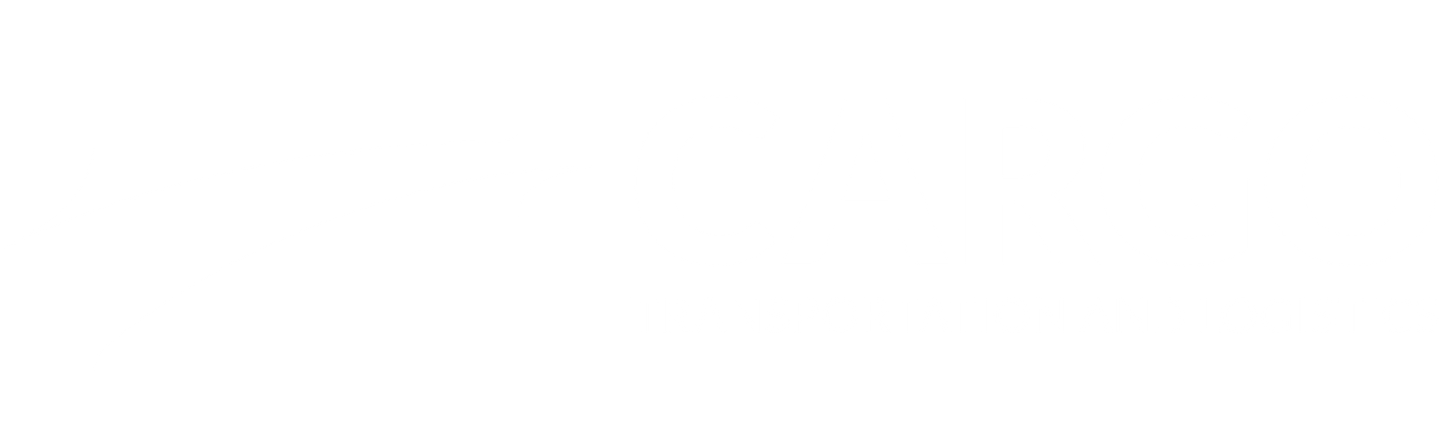 TRANS CANADA EXPRESS